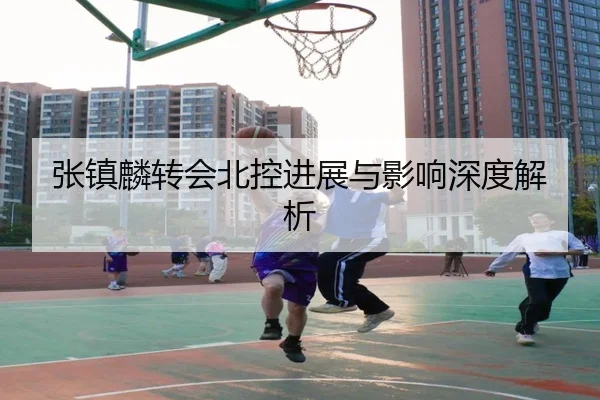 张镇麟转会北控进展与影响深度解析